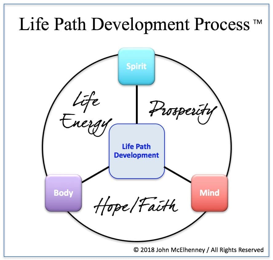 life development process by john mcelhenney